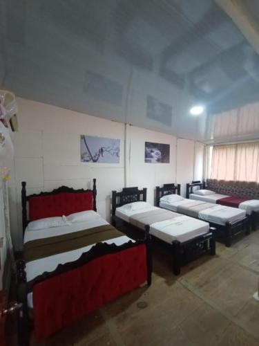 a room with four beds in a room at Hostal Las Mariposas Minca in Minca