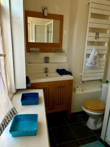 une salle de bain avec un lavabo, des toilettes et un miroir dans l'établissement La maison bleue, à Villerville