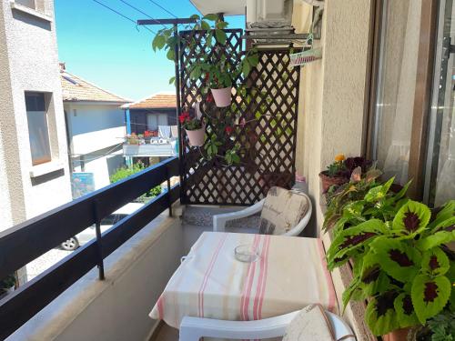 a table and chairs on a balcony with plants at Къща за гости ЕЛЕНИ in Sozopol