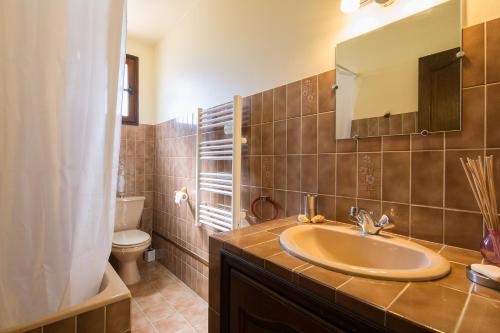 une salle de bain avec un lavabo, des toilettes et un miroir dans l'établissement La Régalide, à Le Tignet