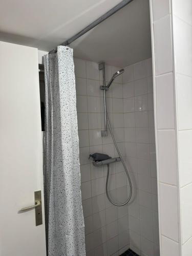 une douche avec un rideau de douche dans une salle de bain dans l'établissement Osiris, à Argenteuil