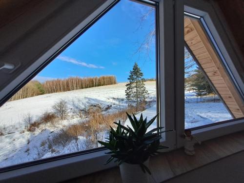 a window with a view of a snow covered field at Domek - Na Lipę in Błażowa