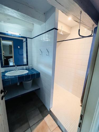 une salle de bain avec un lavabo et une douche dans l'établissement Les Abeilles, à La Chapelle-Faucher