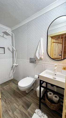 a bathroom with a toilet and a sink and a mirror at Hanging Garden Holiday Home - Riverside in Ardeşen