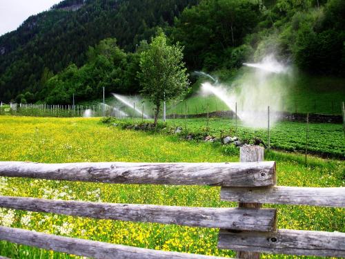 a fence in front of a field of flowers at Ferienwohnungen Auhaus in Martello