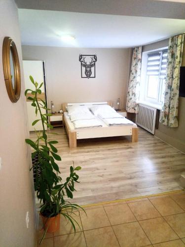 U Andrzeja, Parking w cenie!!