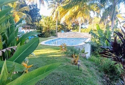 a swimming pool in a yard with palm trees at Swim & Paint Art Retreat in Las Piedras