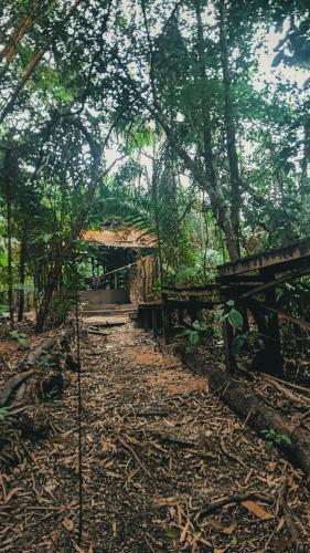 a dirt road with a bridge in the distance at Viverde selva Redario natural in Santarém