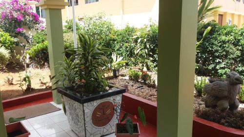 a porch with a potted plant in a garden at La Princesa Hotel in San Isidro