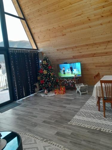 Televisor o centre d'entreteniment de best villa
