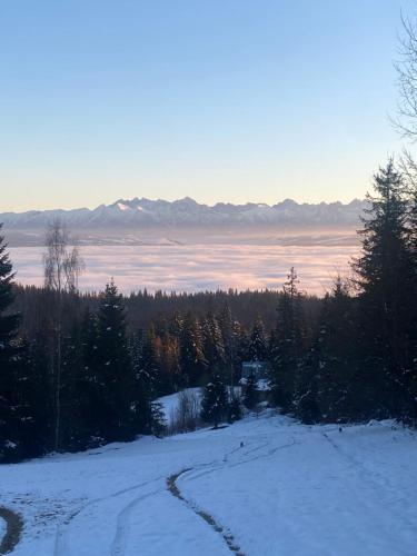 a snow covered road with trees and mountains in the background at Apartament w górach Gorce in Nowy Targ