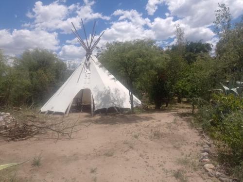 a large white tent in a field with trees at Sonqo Wasi in San Marcos Sierras