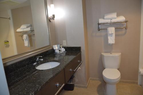 a bathroom with a sink and a toilet and a mirror at Holiday Inn Express & Suites Caryville by IHG in Caryville
