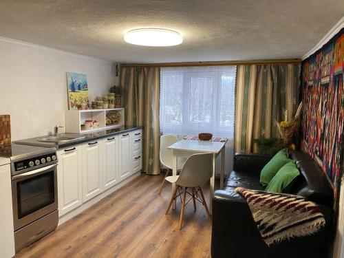 a kitchen with a couch and a table in a room at Автентичний Лофт Апартамент в Карпатах in Krivorovnya