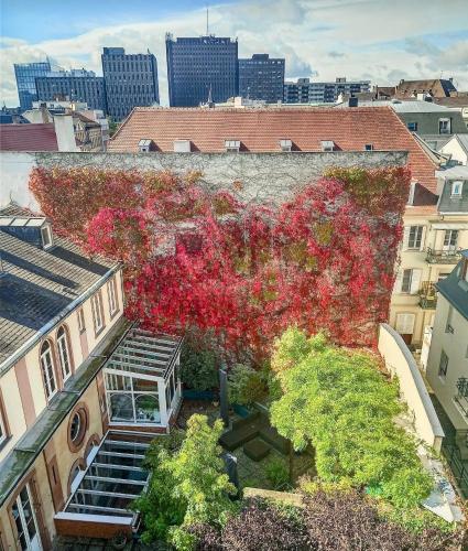 Appartement Strasbourg centre et gare