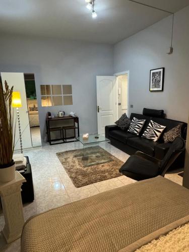 Basement Apartment Studio