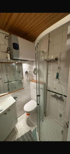 une salle de bain avec douche et toilettes dans l'établissement Joli deux pièces near Eiffel Tower, à Paris