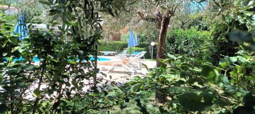 a pool with chairs and umbrellas in a yard at La Residenza del Marchesato in Marano Marchesato