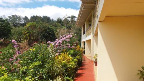 a garden of flowers next to a building at La Princesa Hotel in San Isidro