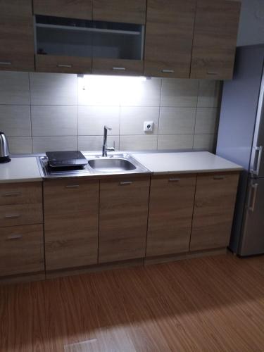 Apartmani Strahinicにあるキッチンまたは簡易キッチン