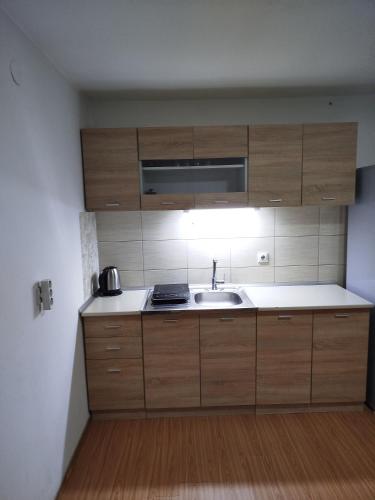Apartmani Strahinicにあるキッチンまたは簡易キッチン