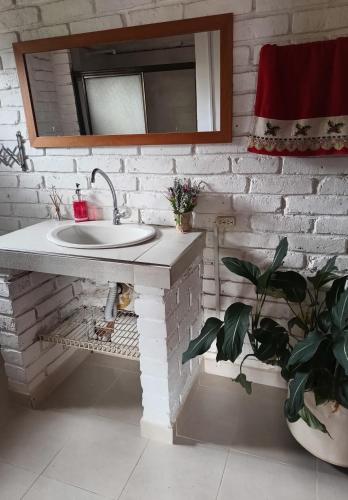 a bathroom with a sink and a mirror and a plant at Villa Ines in Playa Verde