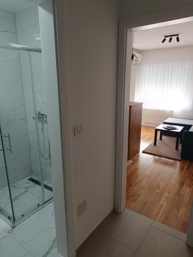 a bathroom with a shower and a glass door at Stan na dan Nina Plus - Pale Centar in Pale