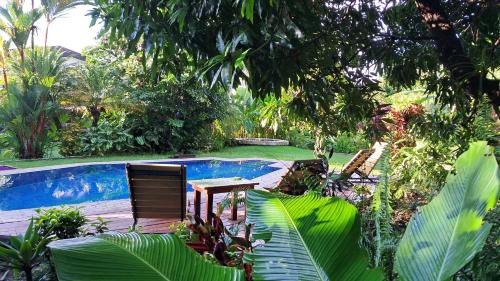 Kolam renang di atau dekat dengan Dolce Uvita