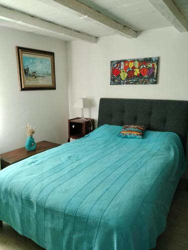 une chambre avec un lit avec une couette bleue dans l'établissement Villa charmante à Saint-Vincent-de-Paul avec piscine privée, à Saint-Vincent-de-Paul