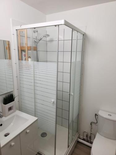 une salle de bain avec une douche, des toilettes et un lavabo dans l'établissement Logement familial avec jardin, à Noisy-le-Sec