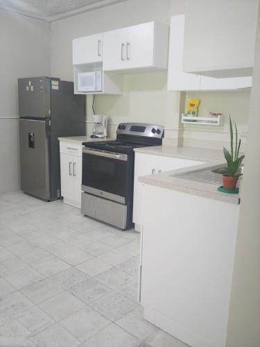 Kuchyň nebo kuchyňský kout v ubytování Queen Bed