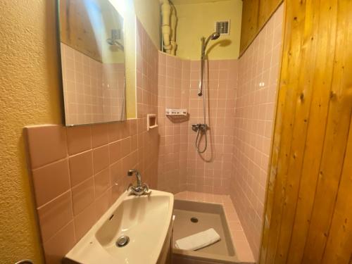 une salle de bain avec toilettes, lavabo et douche dans l'établissement Chalet au bord du lac, à Saint-Jorioz