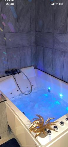 a bathroom with a tub with a spider in it at Trinidad Suite Jacuzzi in Aubagne