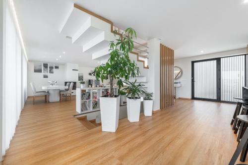 a living room with potted plants on a wooden floor at Esperança Terrace in Braga