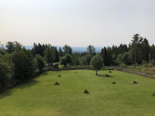 a large grassy field with trees and a fence at Cozy cabin 1,5 hours from Oslo in Hamar
