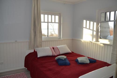 a bedroom with a bed with two pillows on it at Taimela Holiday Home with Sauna in Lohusalu