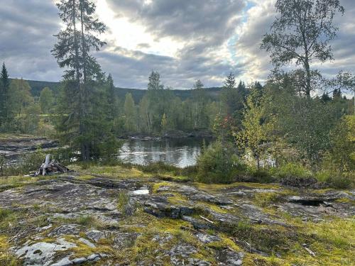 a view of a river with trees in the background at Turifoss Camping Cabin 2 in Svedjan