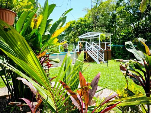 a garden with a gazebo and some plants at Alena Star House, Eco Retreat With Pool, Prime Position in Cape Tribulation
