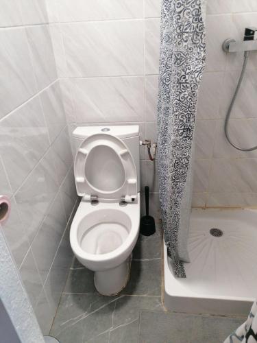 une salle de bain avec toilettes et rideau de douche dans l'établissement Studio centre ville st aubin, à Toulouse
