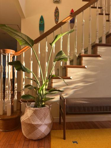 a plant in a pot next to a staircase at Miles Town in Ito