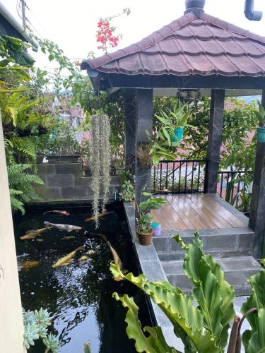 Taman di luar Moza House Wonosobo