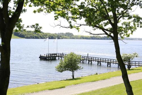 a dock on a lake with benches in the water at Hotel Koldingfjord in Kolding