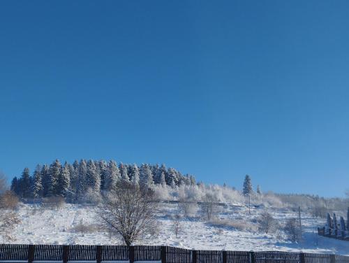 a fence in front of a snowy field with trees at Перлина Карпат in Skhidnitsa