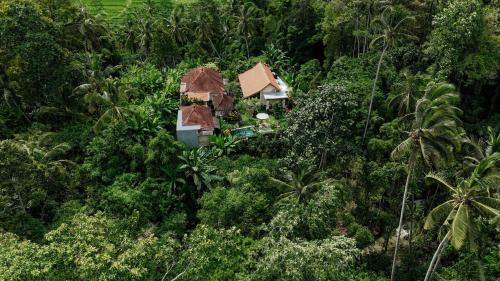 an aerial view of a house in the jungle at Campuhan Guesthouse in Tabanan