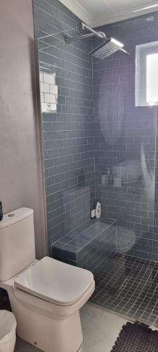 a bathroom with a toilet and a shower with blue tiles at Die Speelkamer in Bredasdorp