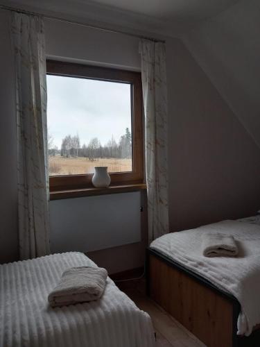 a bedroom with two twin beds and a window at Domek Pod Lasem in Czarny Dunajec