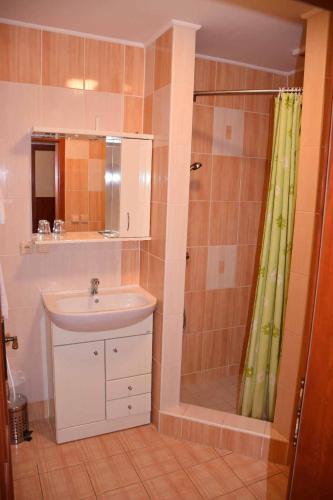 a bathroom with a sink and a shower at Penzion U Holuba in Hradčovice