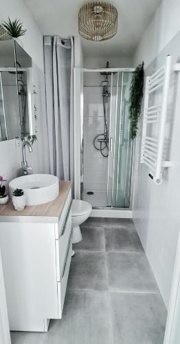 une salle de bain avec un lavabo, des toilettes et une douche dans l'établissement N1-Terrasse - Barbacane - Pieds Cité - Clime Mobile, à Carcassonne