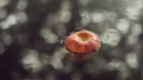 an apple sitting on top of the water at 中棚荘 in Komoro
