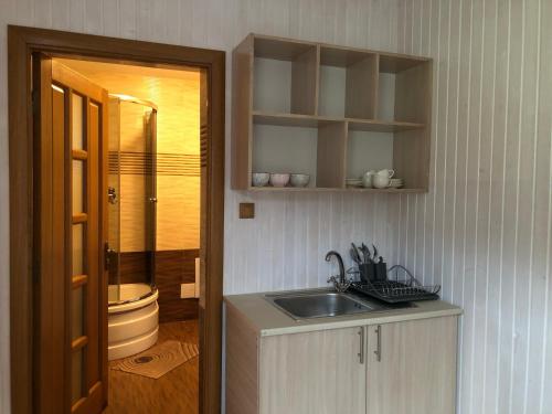 a kitchen with a sink and a bathroom with a toilet at Сільська Садиба in Kvasy
